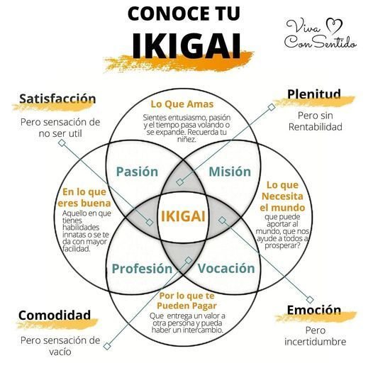 conoce tu ikigai